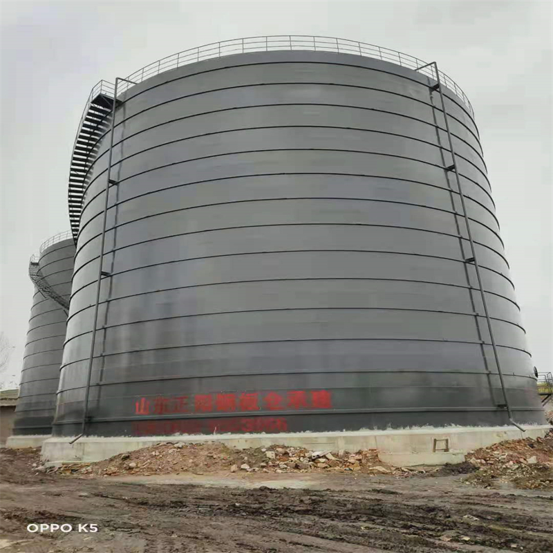 阜南3万吨大型钢板库